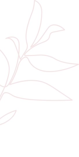 Simple botanical illustration, dark background